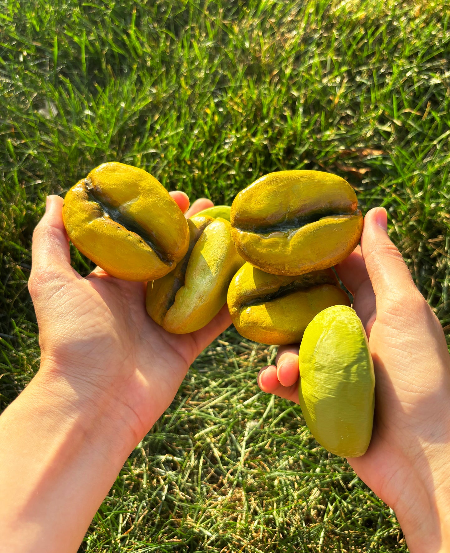 Five 3D Printed Green Coffee Beans for Coffee Cherry Model