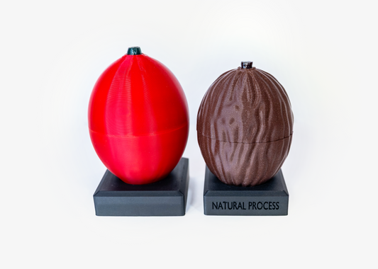 Pro & Dry Cherries (PLASTIC)