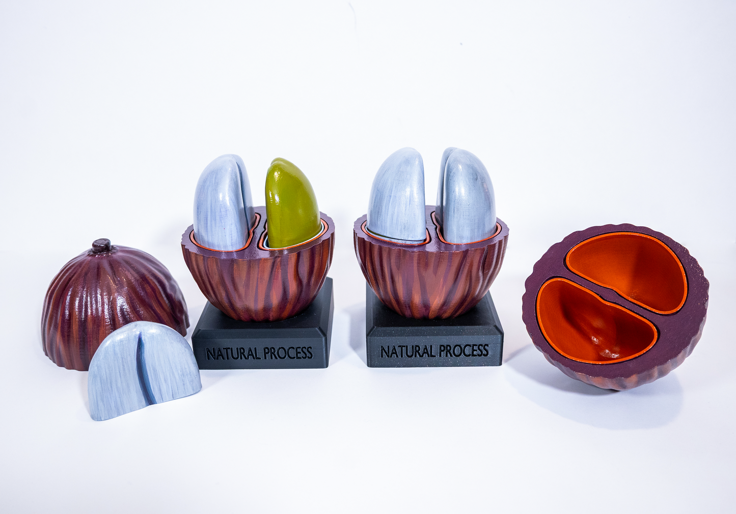 Dry Coffee Cherry (Hand-Painted)