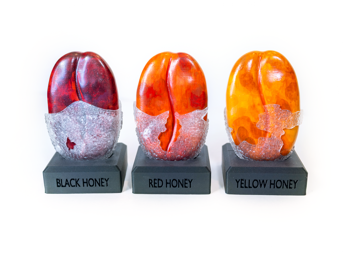 Honey Processes