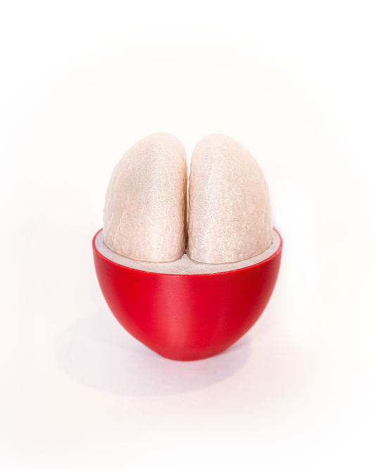 Coffee Cherry with PULP