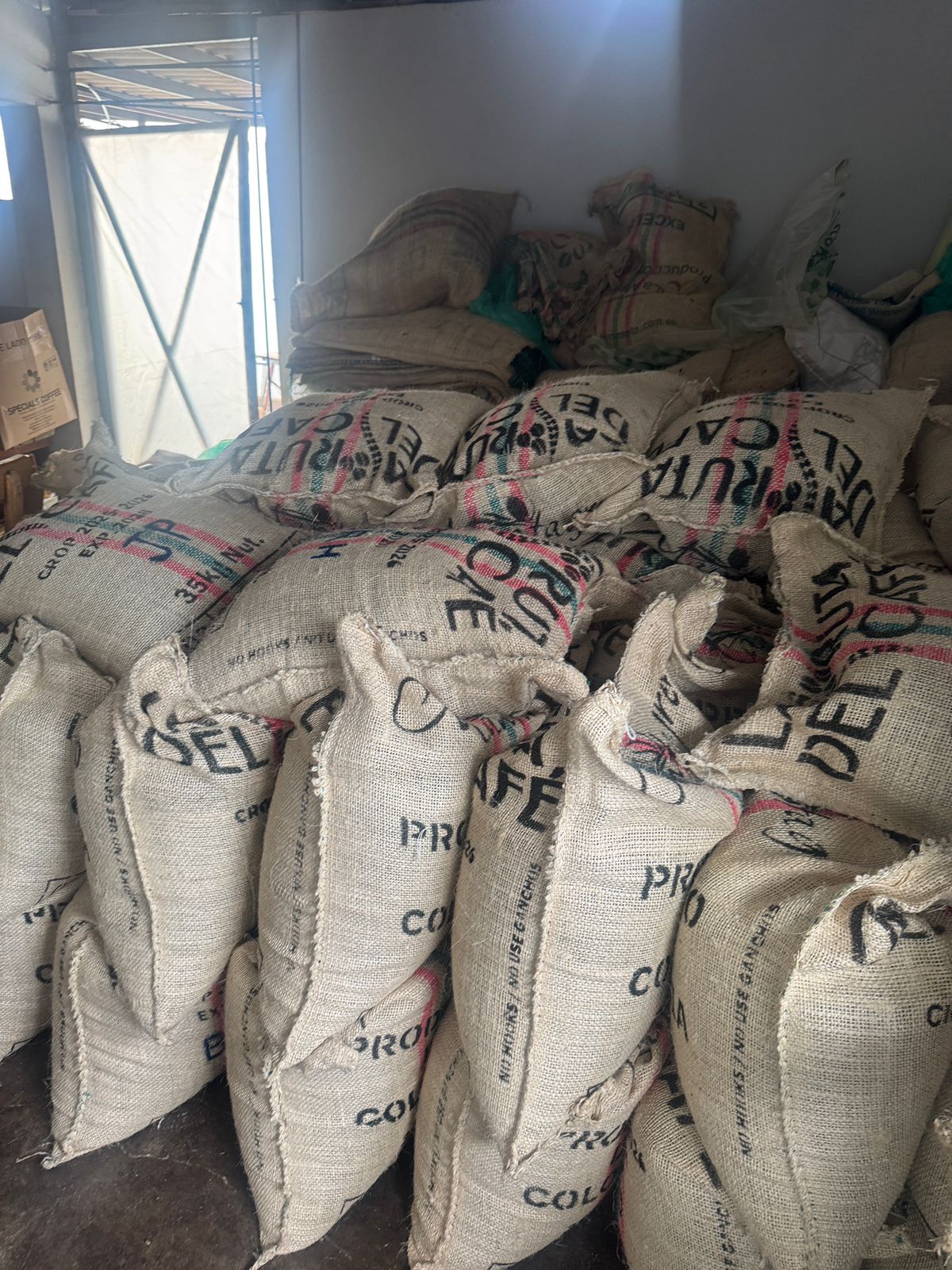 Bags with green coffee in Newark, New Jersey