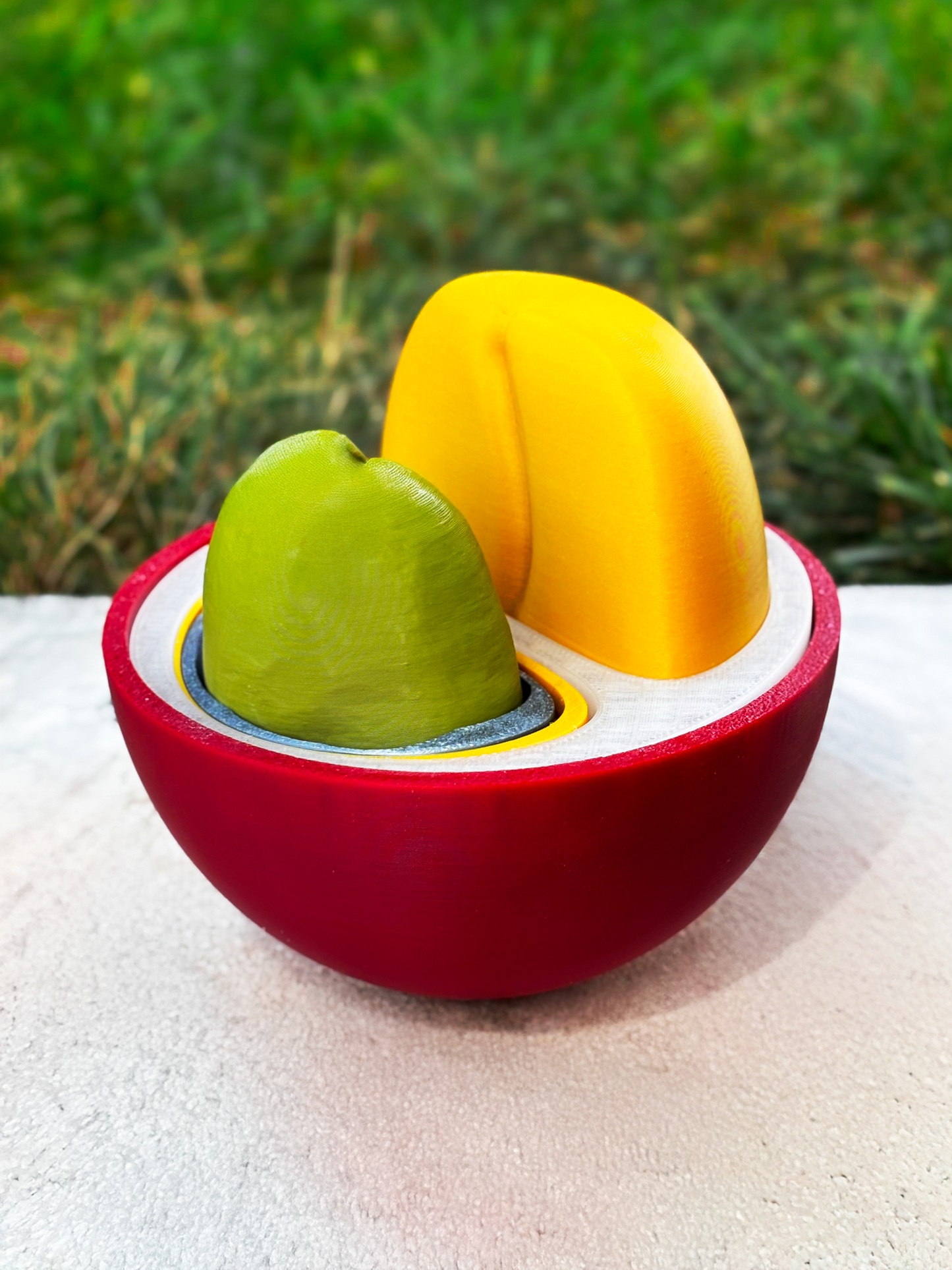 Coffee Cherry Model. Hand-Painted or Colored Plastic